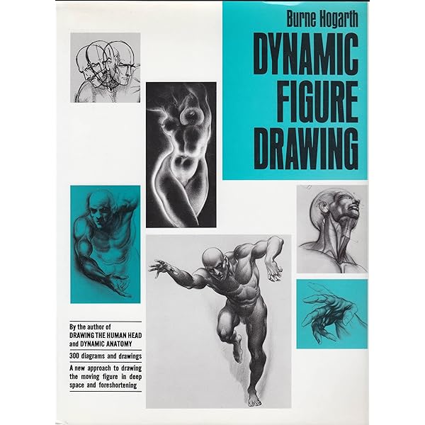 Dynamic Anatomy: Hogarth, Burne: 9780823015504: Amazon.com: Books